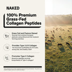 Vanilla Collagen Peptides Powder | Naked Collagen - 1.2 LB
