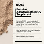 Recovery Mushroom Supplement | Naked Adaptogen
