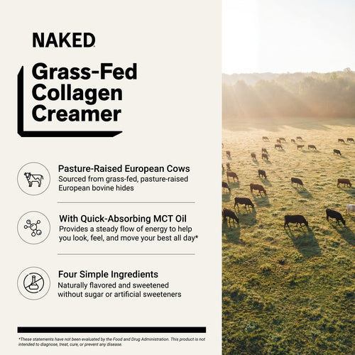 Caramel Coffee Creamer | Naked Collagen Creamer