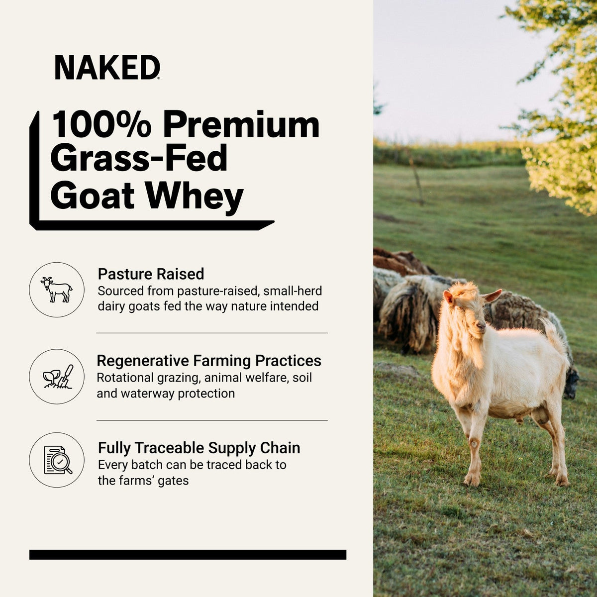 Goat Whey Protein Powder | Naked Goat - 2lb