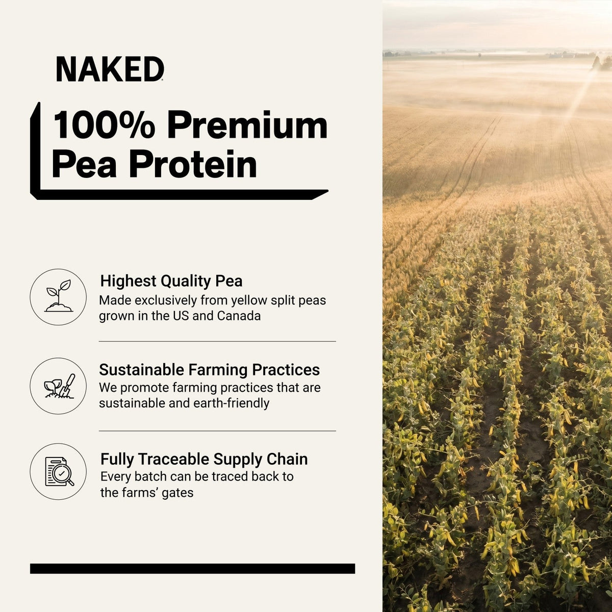 Pea Protein Powder 1lb | Naked Pea - 1lb