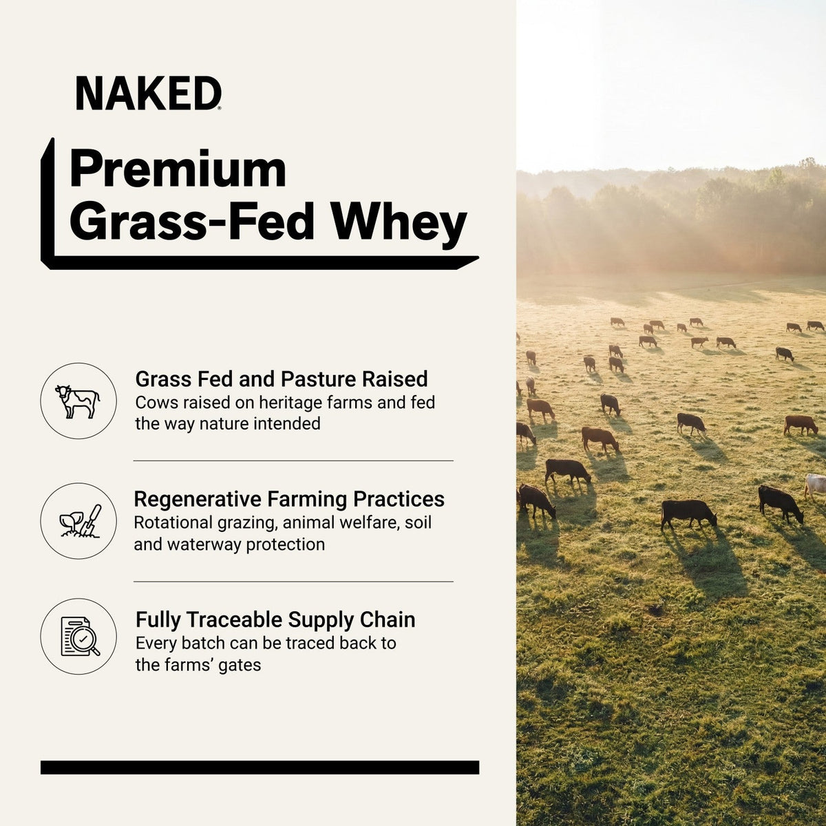 Chocolate Peanut Butter Whey Protein Powder 2LB | Naked Whey - 2LB