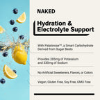 Electrolytes Powder Packets - Blueberry Lemonade | Nakedade